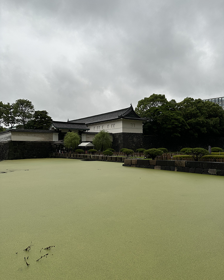 Chiyoda a Tokyo