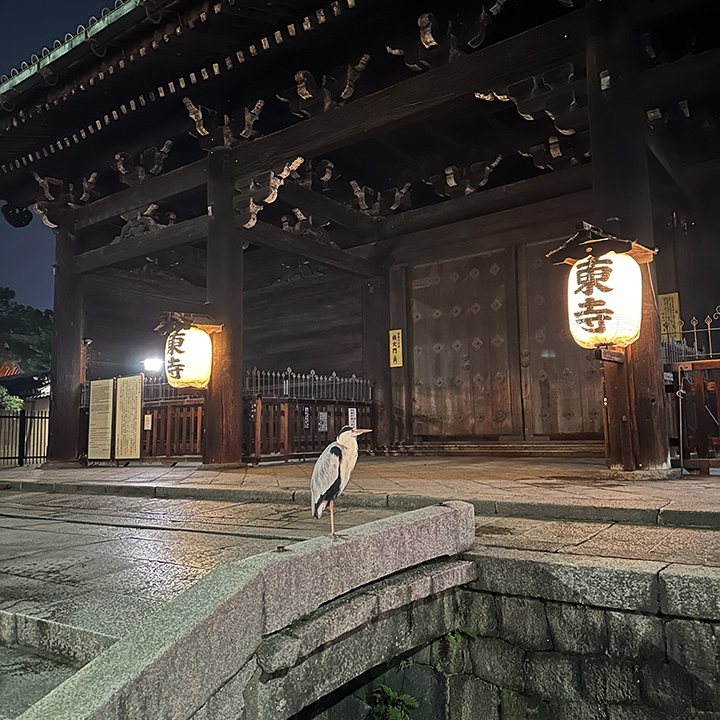 tempio Toji Kyoto