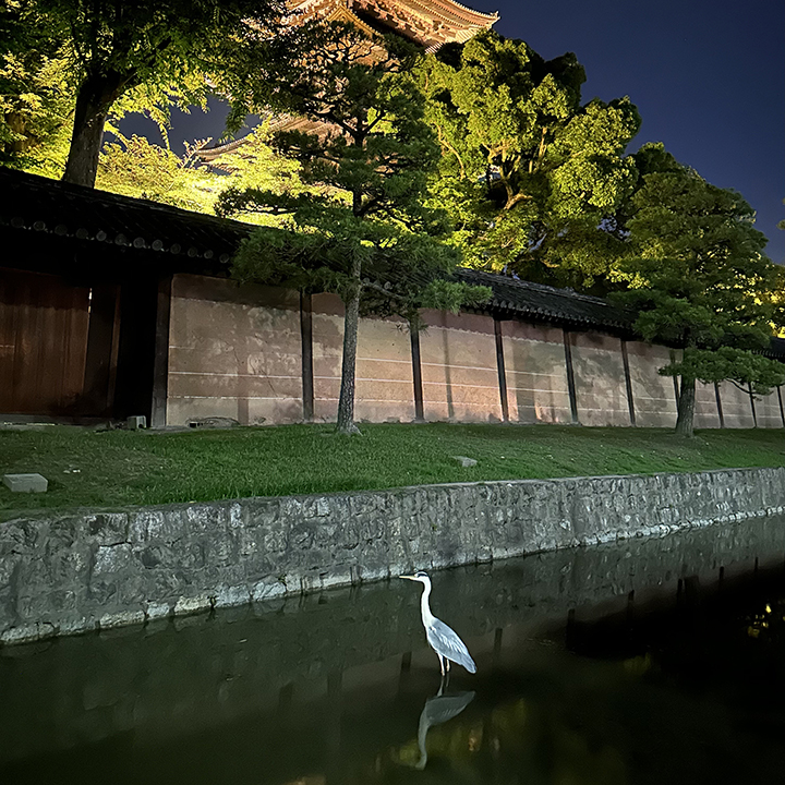 tempio Toji Kyoto