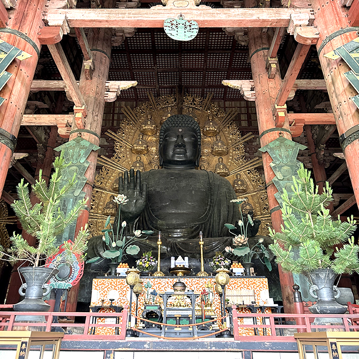 Daibutsu Grande Buddha