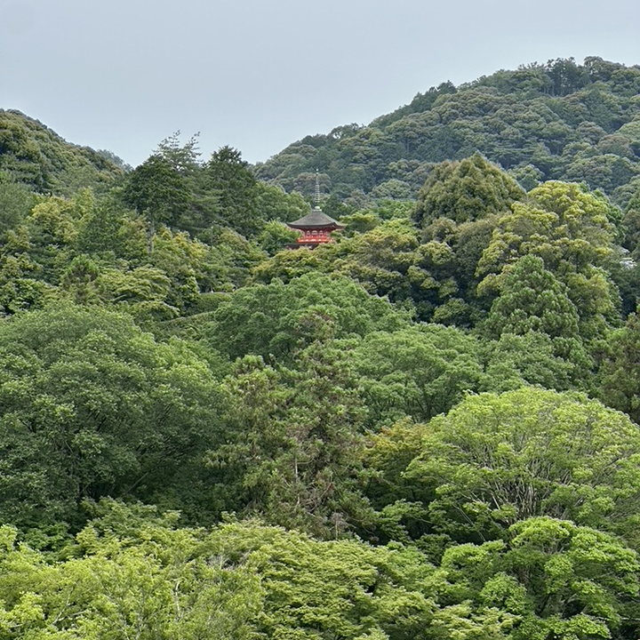 kiyomizu-dera kyoto