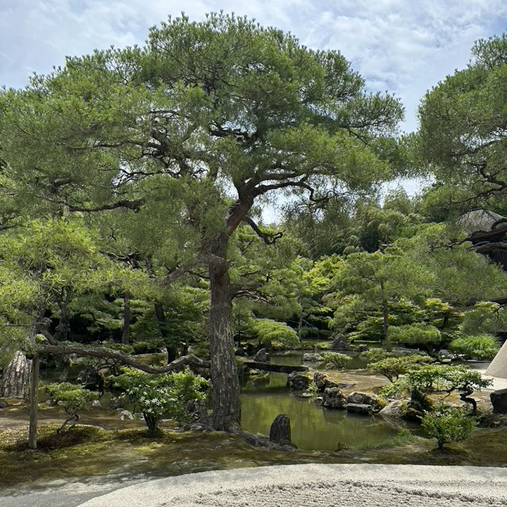 giardino del tempio di Ginkaku-ji