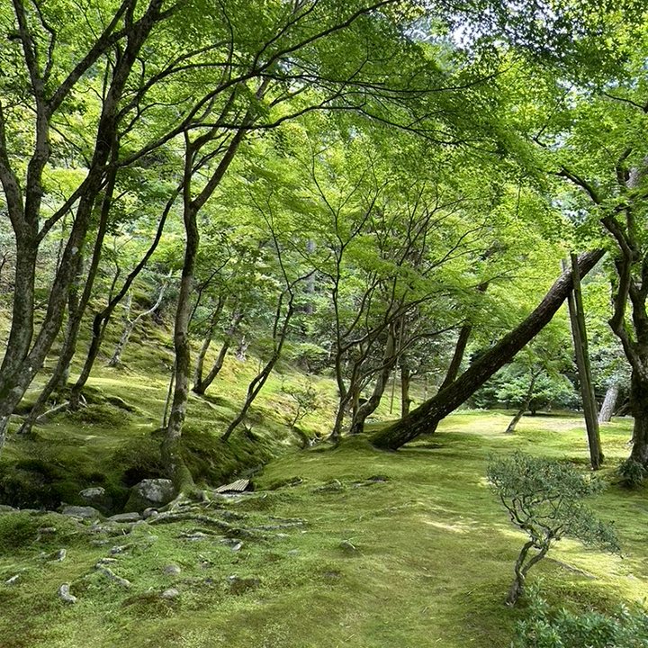 giardino del tempio di Ginkaku-ji