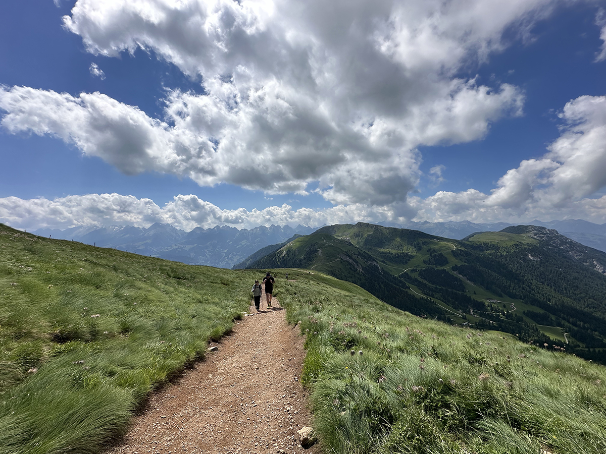salita al rifugio Torre di Pisa - Val di Fiemme
